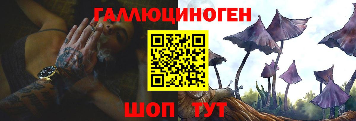 Псков  Псилоцибиновые грибы мухоморы  Вход с VPN 