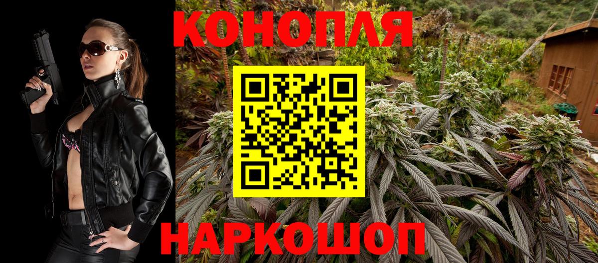 Шишки марихуана сатива  Конопля White Widow  Вход с VPN  Бошки Шишки индика  Бошки Шишки индика  Псков 